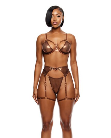 Liquid Metal Metallic Mesh Underwire Bra W-Garter Belt & G-String 3 Pc Set – Metallic Copper XL