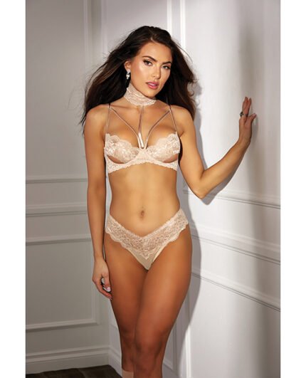 Absolutely Beautiful Stretch Lace Collard Bra & Panty (Goes W-SOH31549) Nude 38